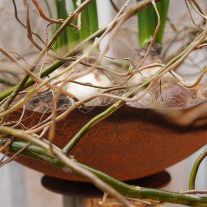 Schale Rost mit welligem Rand