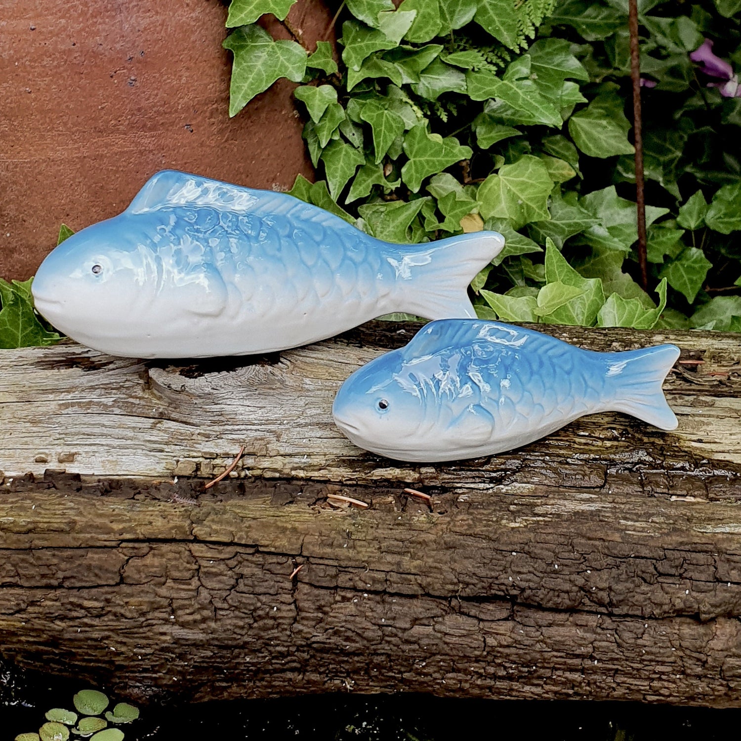 Schwimmfische blau