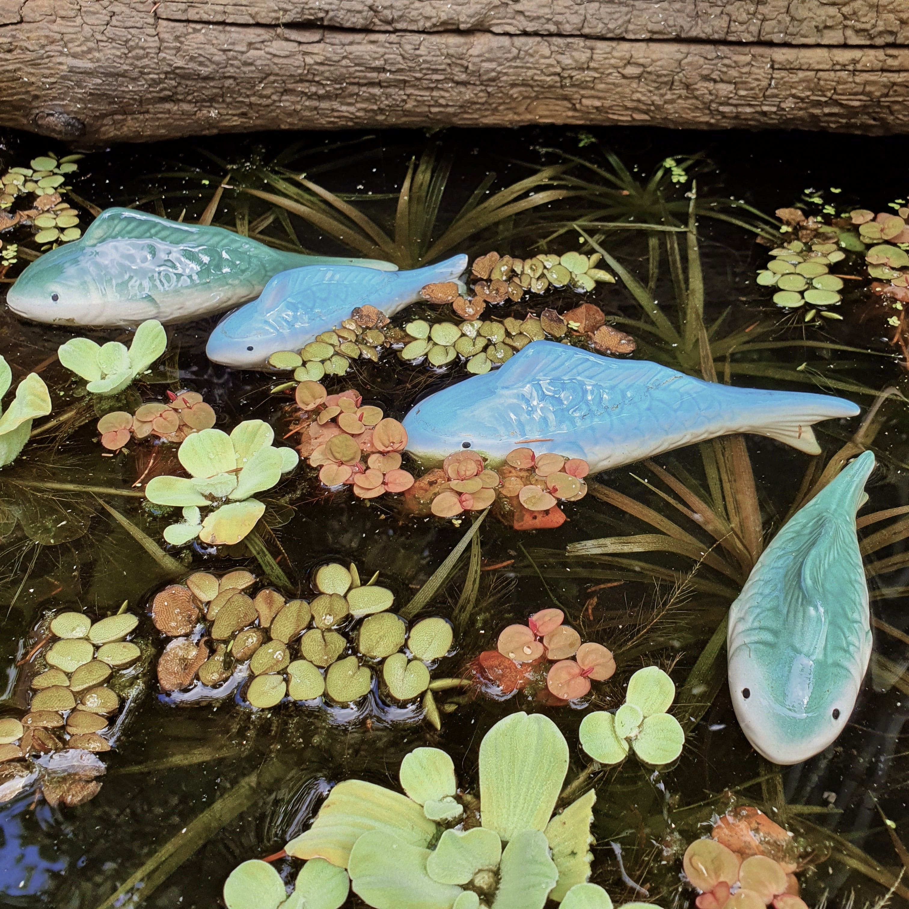 Schwimmfische grün
