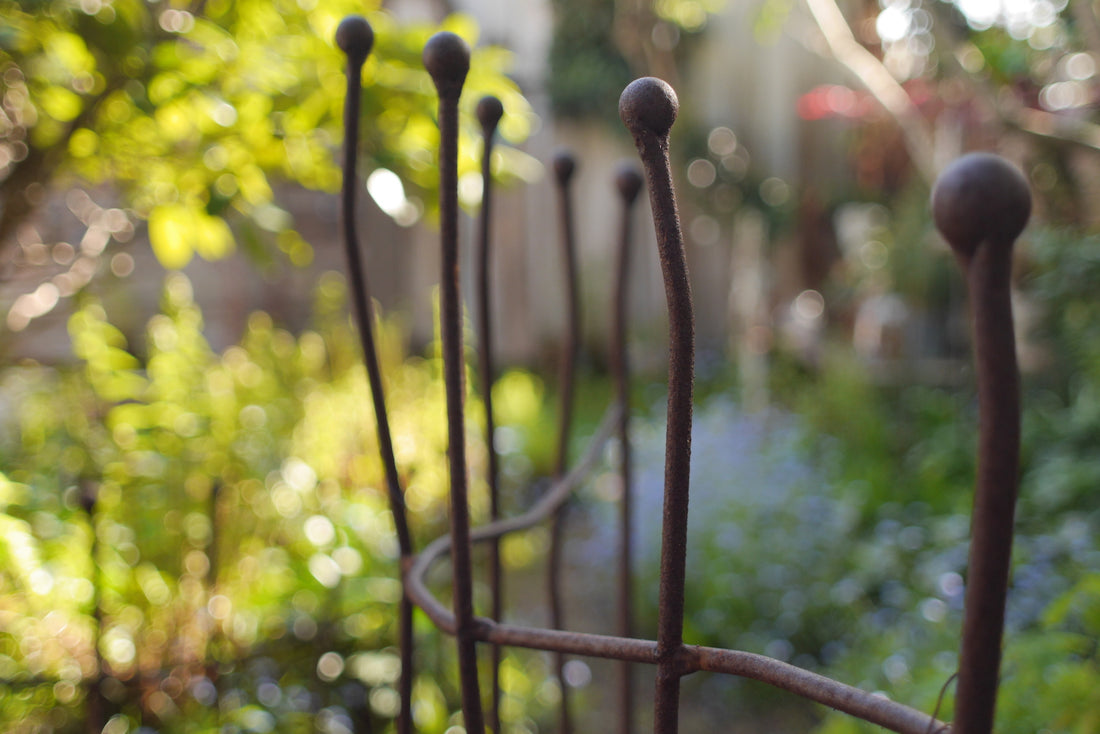 Naturzäunchen mit Kugeln Rost (NUR ABHOLUNG)