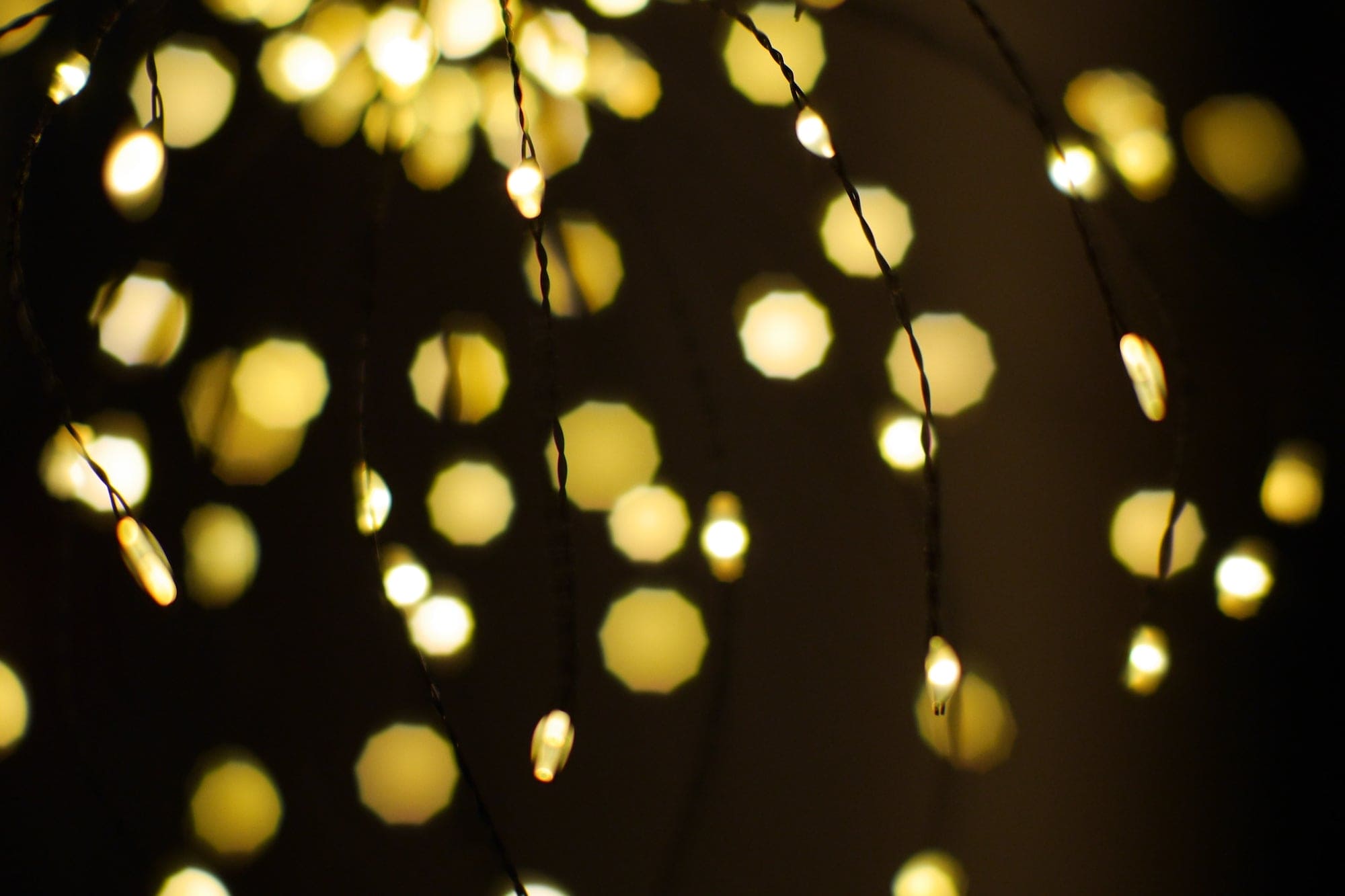 LED Pusteblume