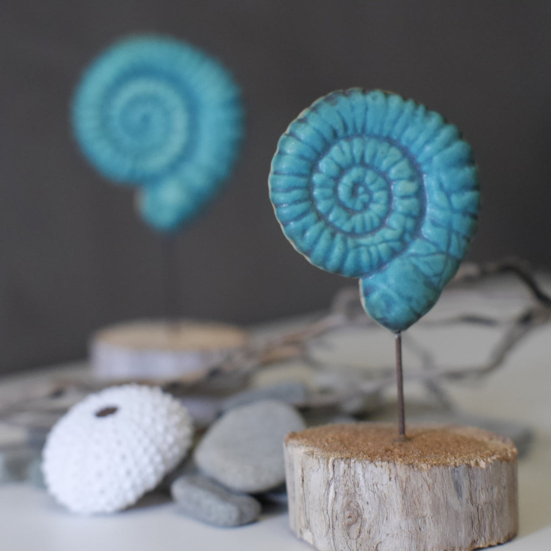 Ammonit Keramik/Holz
