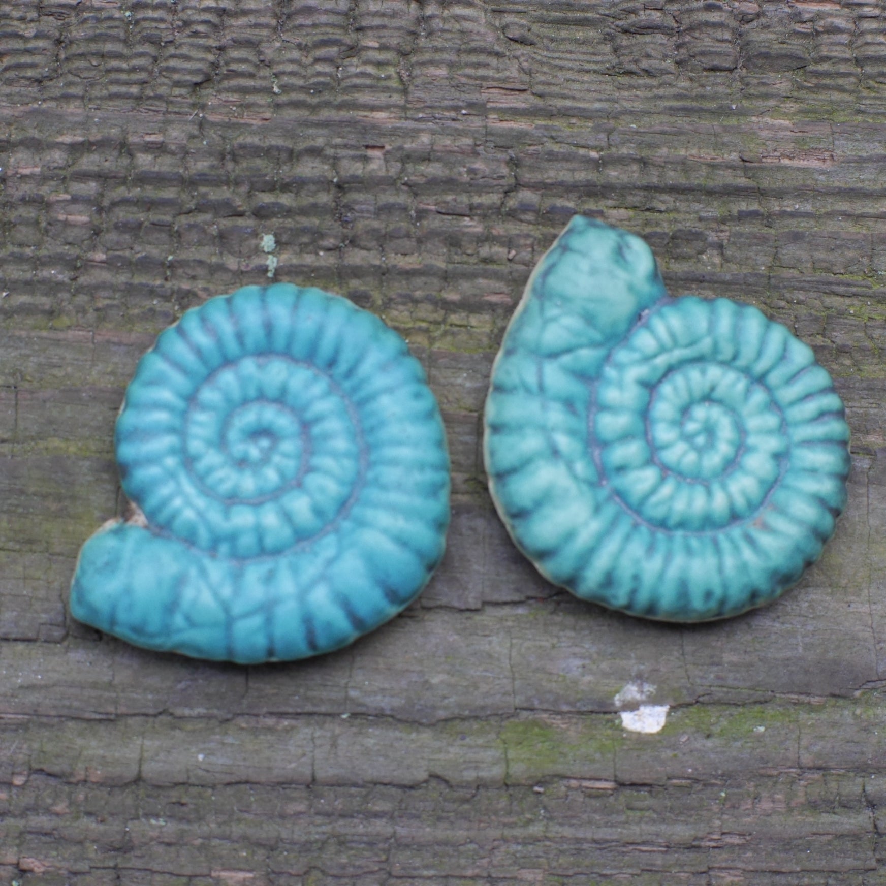 Ammonit Keramik flach